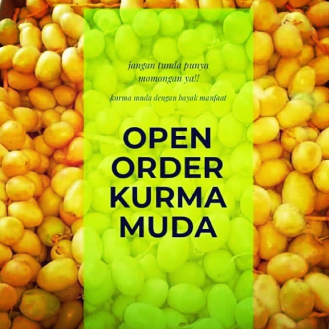 

Kurma muda