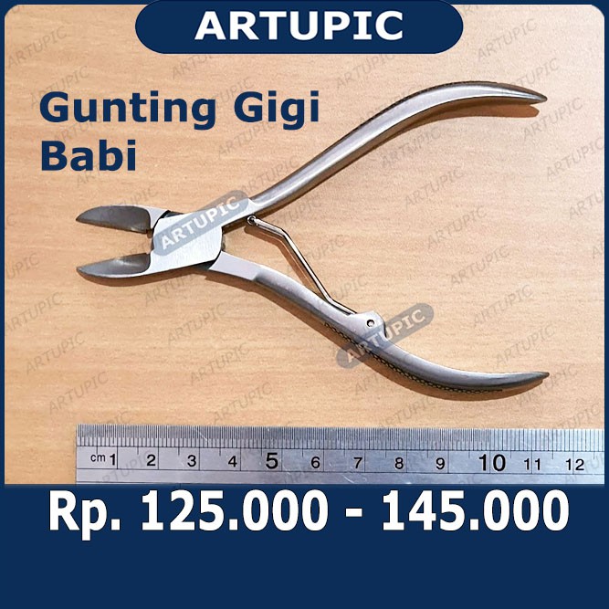 Gunting Gigi Anak Babi scissors for piglet teeth