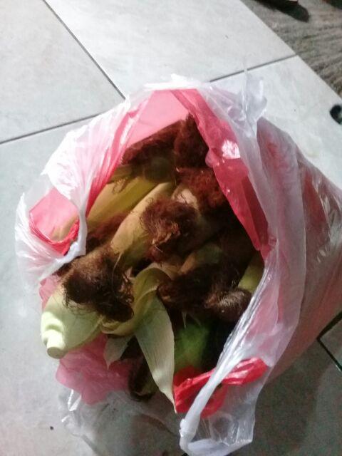 Maxim Valentino Wajan Frypan Ukuran 22 Cm