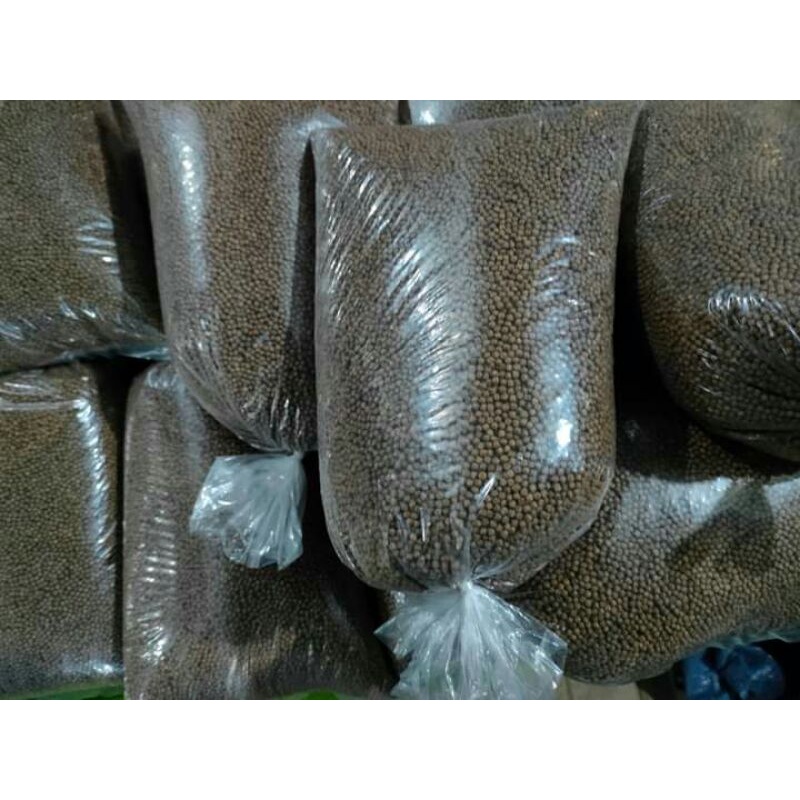 

MAKANAN IKAN