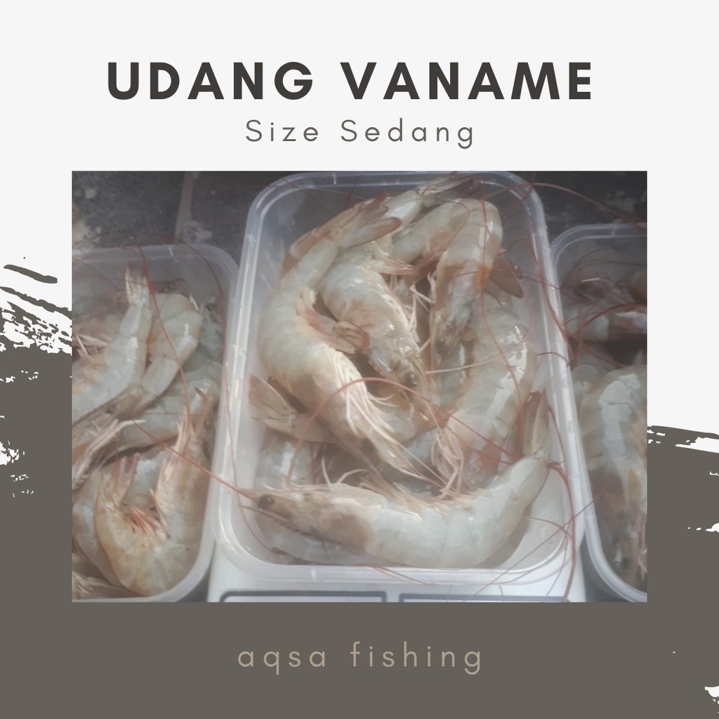 UDANG VANAME SEGAR 1 KG SIZE 50-60 MURAH