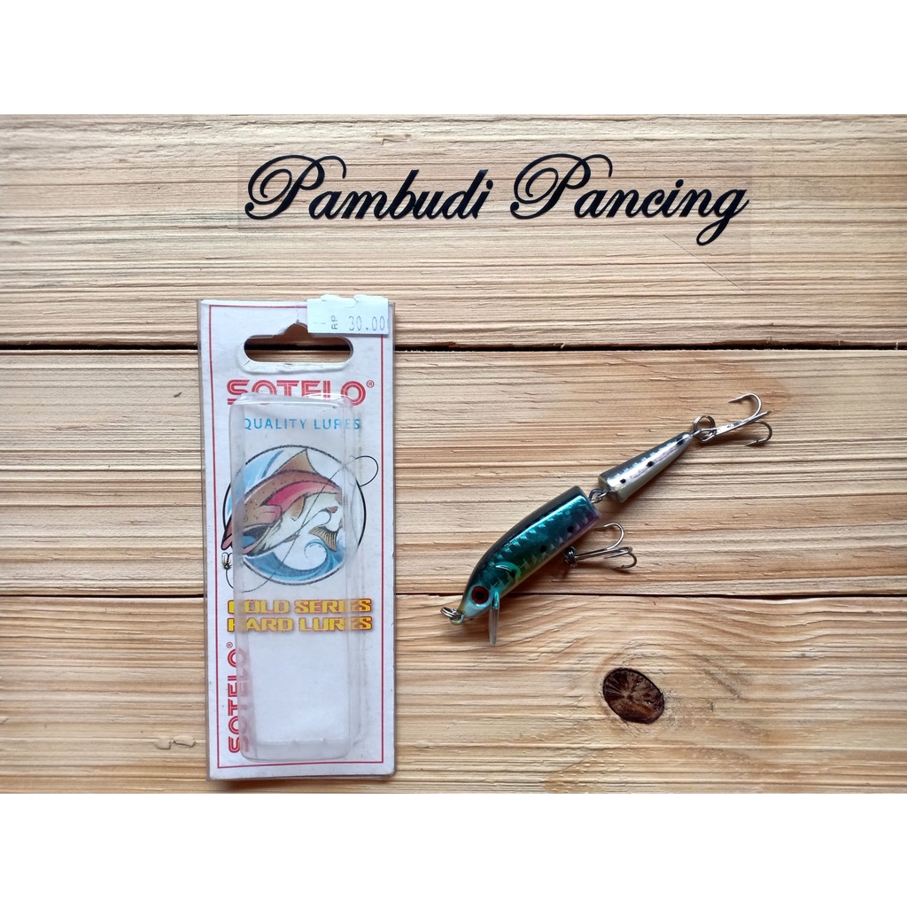 SOTELO - LURE MINNOW SOTELO DOUBLE JOINTED 9.5CM - 15GR - FLOATING