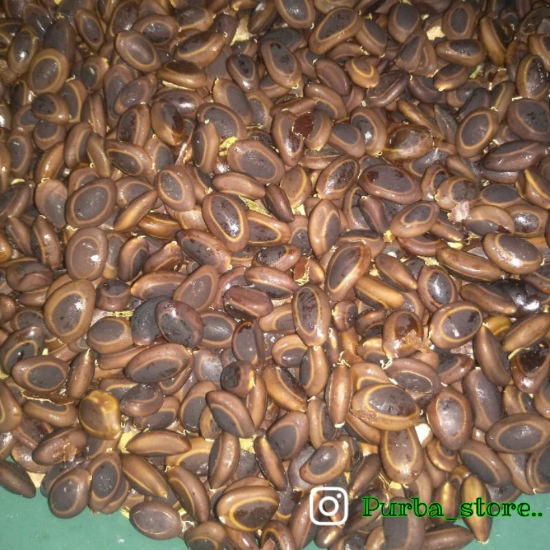 

ready biji_kedawung_mentah..100%fress 1kg