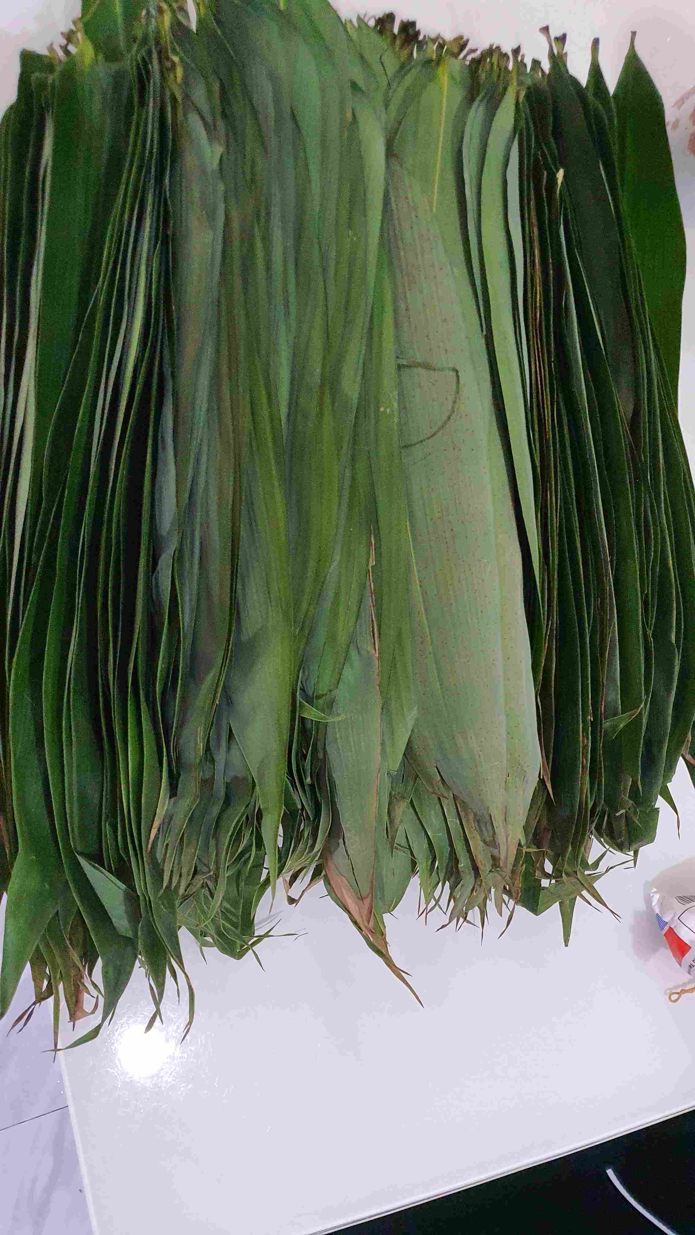 Daun Bambu Segar Per  1 Kg Bakcang. Bacang.