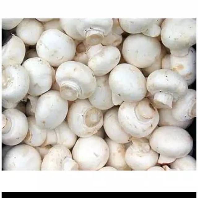 

Jamur champhinon
