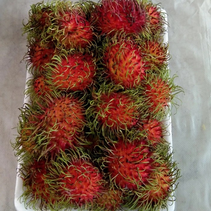

BUAH RAMBUTAN BINJAI (0,9-1 KG)