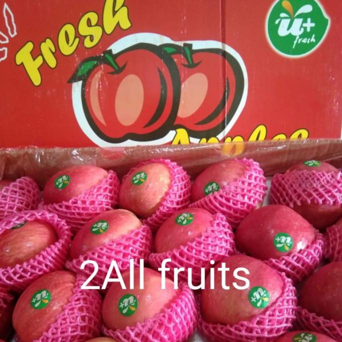 BUAH APEL FUJI 1 DUS FH51515ED