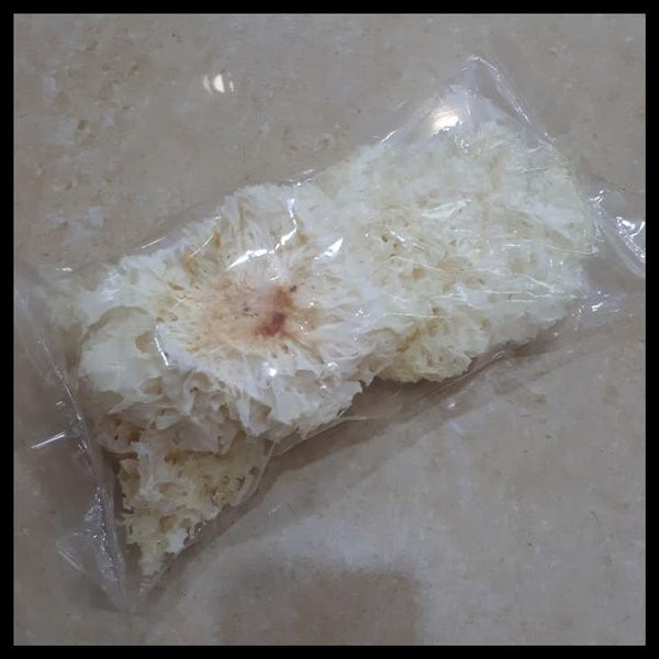 Jamur Putih RRC / Bokji Putih Jamur Salju Kering Fungus 60gr