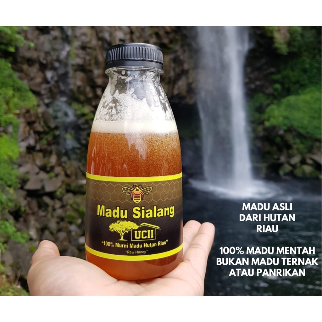 

Madu Hutan Sialang Ucii Murni Madu Hutan Riau High Quality 450gram