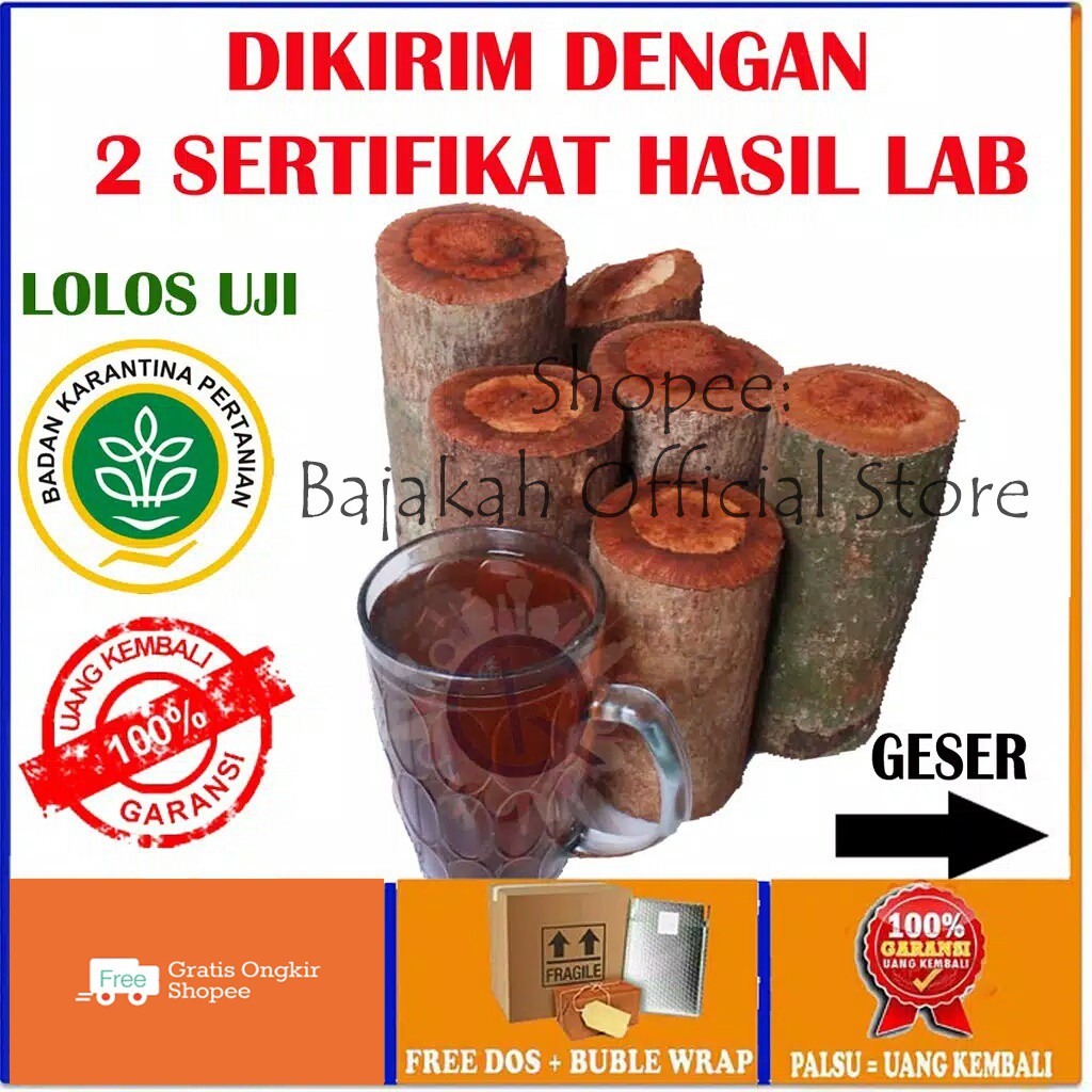 

AKAR BAJAKAH TUNGGAL TAMPALA ASLI TELAH DI UJI LAB OBAT HERBAL PENYAKIT KANKER TUMOR ANTI VIRUS