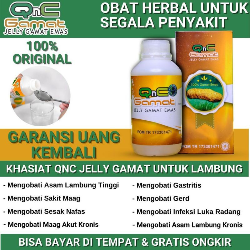 QNC Jelly Gamat Emas Original 330ml BPOM - Gelly Gamat Emas QNC