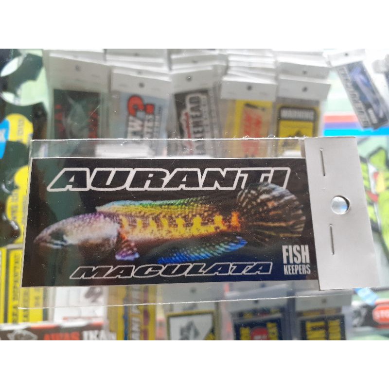 

Stiker auranti,Sticker iwak galak stiker iwak galak sticker aquarium stiker aquarium sticker predator stiker predator