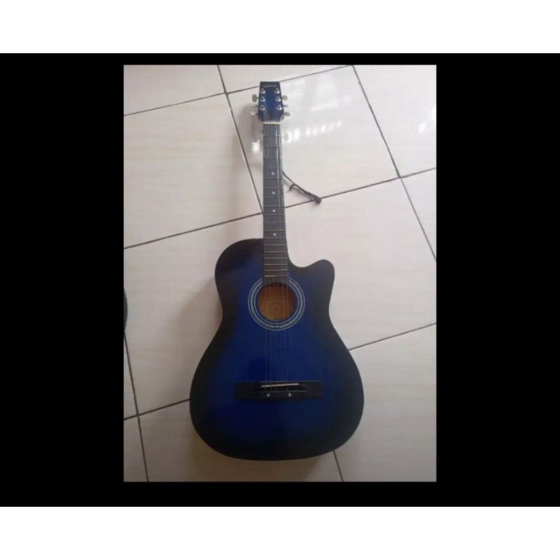 Gitar Skylark