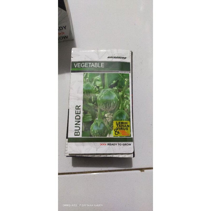 benih terong lalap terong bulat BUNDER tahan virus & hasil lebih besar 10gr.