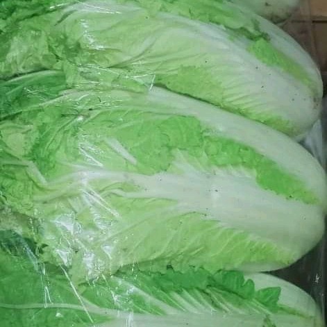 

sawi putih - 500 gram - 500 gram