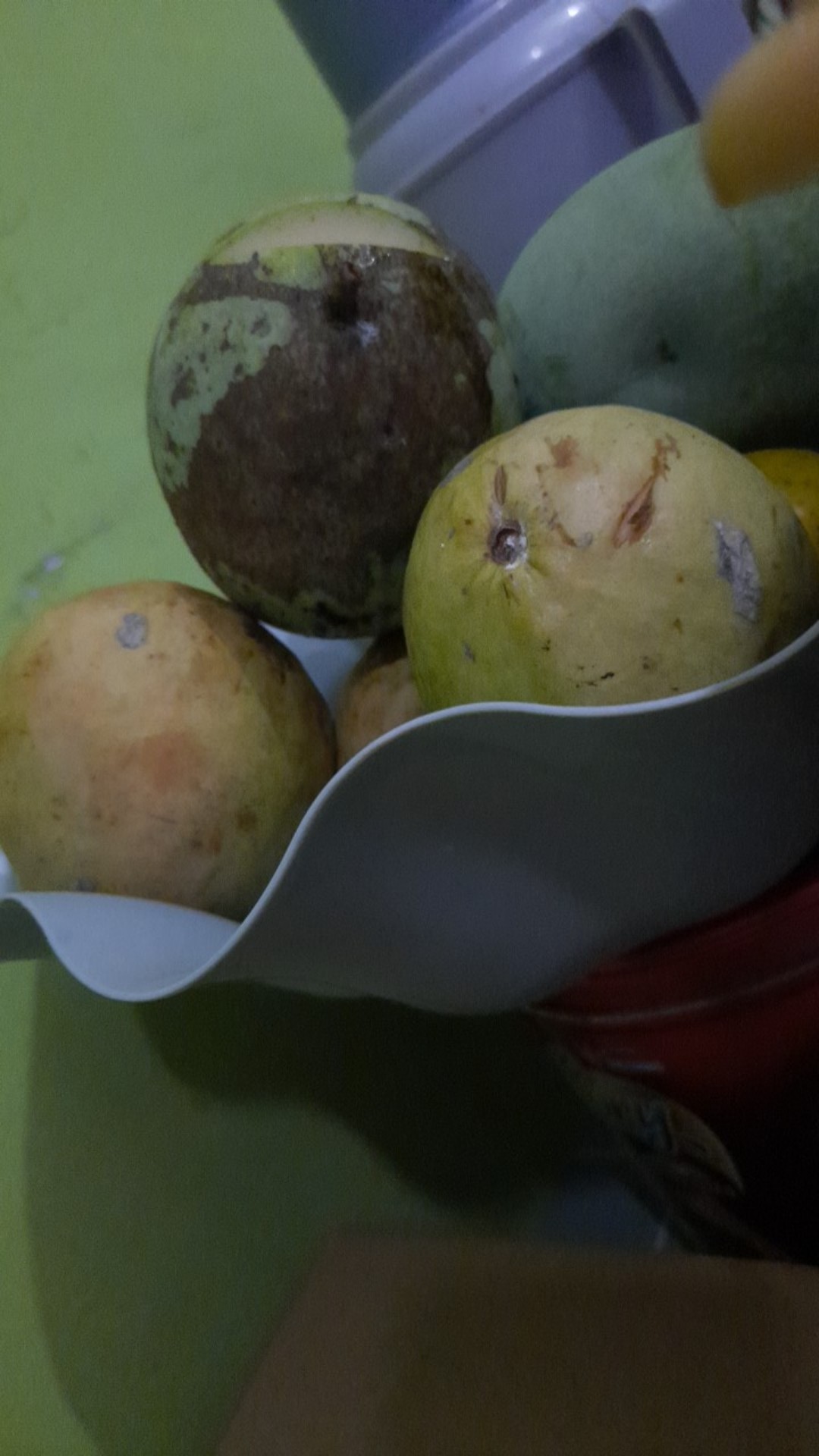 Piring Melamin Wadah Saji /lotus Leaf Shape Home Food Fruit Storage