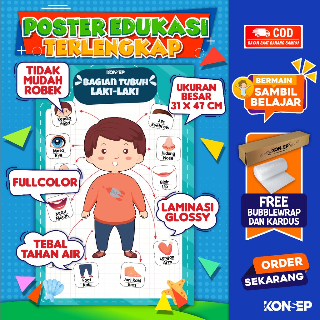 Konsep Poster Edukasi Pendidikan Anak Belajar Bagian Tubuh Laki Laki Paud Balita TK Toodler SD Laminasi Glossy Tahan Air