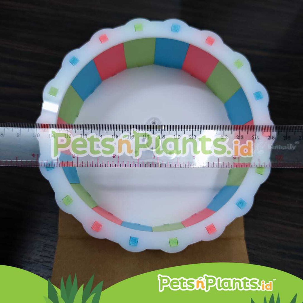 Mainan Roda Kandang Hamster - Silent Rainbow Wheel Ecoboard Import 15 CM