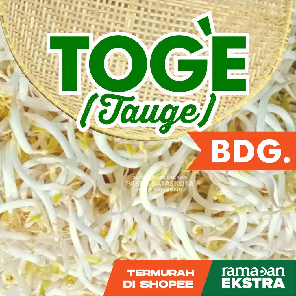 

TOGE / TAUGE SAYURAN SEGAR SAYUR FRESH BANDUNG PASAR ONLINE