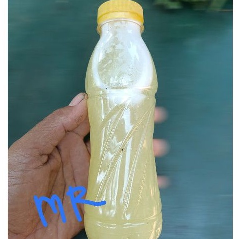 

Jus nanas muda merah per 400 ml