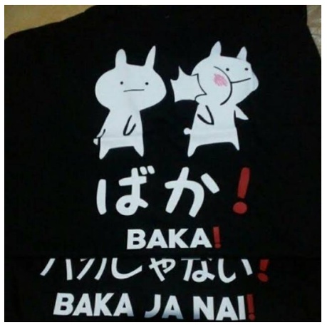 TSHIRT BAKA BAKAJANAI KAOS JEPANG MEME KELINCI BAHAN COMBAD