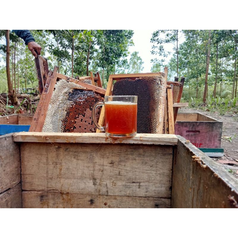 

MADU MURNI AKASIA KADAR AIR 20%