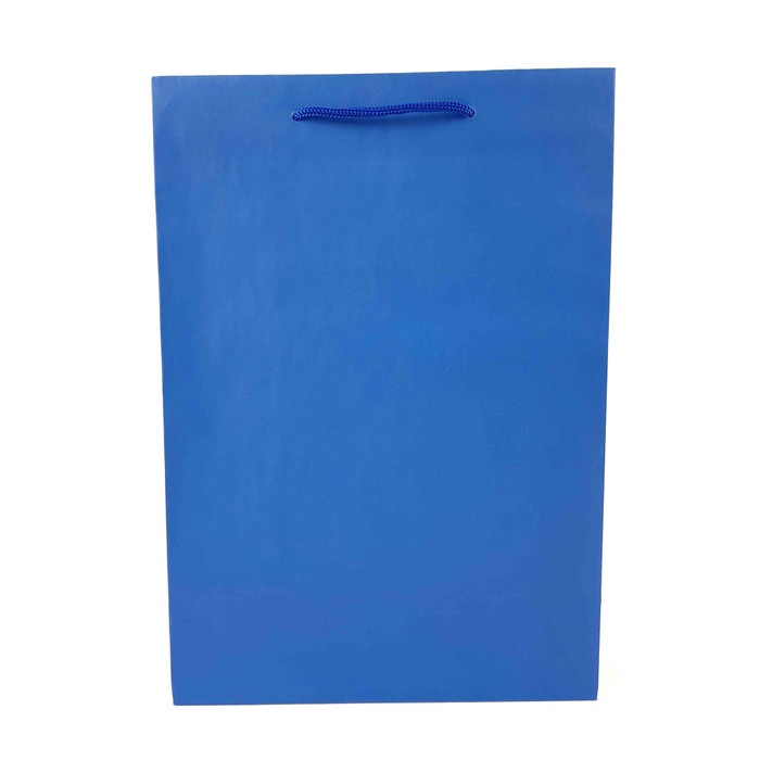 PROMO PAPER BAG POLOS/ PAPER BAG WARNA/ PAPER BAG MEDIUM/ BA2332G - Biru
