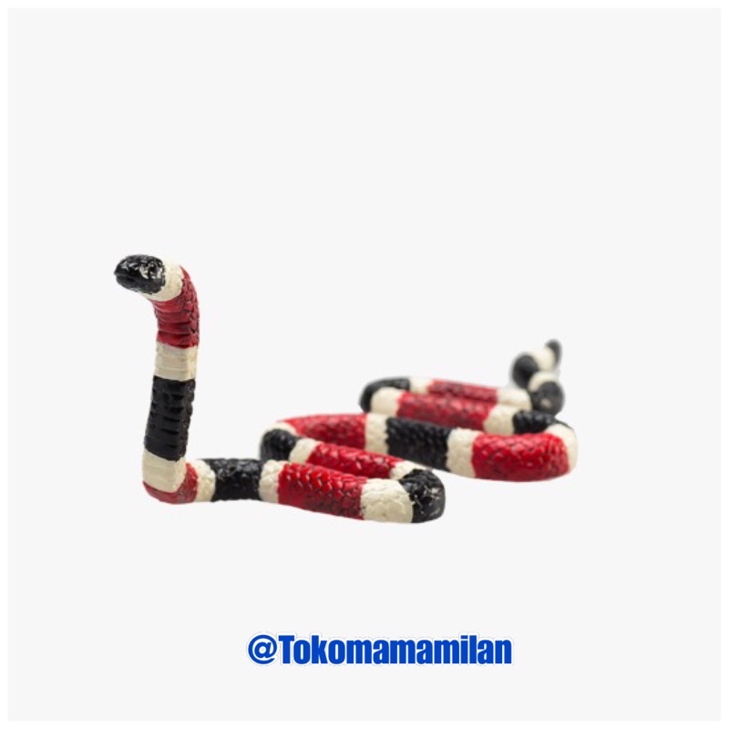 Mojo | Mojo Fun Animal Figurine Coral Snake / Ular – Wildlife Collection | Mainan Miniatur Binatang