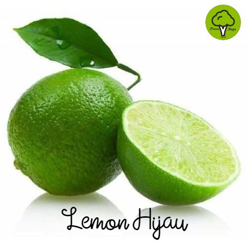 

BUAH / JERUK LEMON HIJAU [1KG]