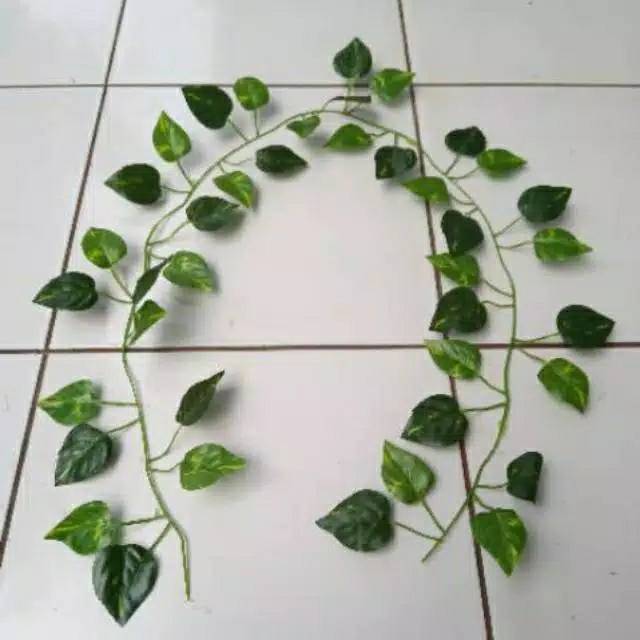 tanaman rambat daun plastik - daun gantung plastik