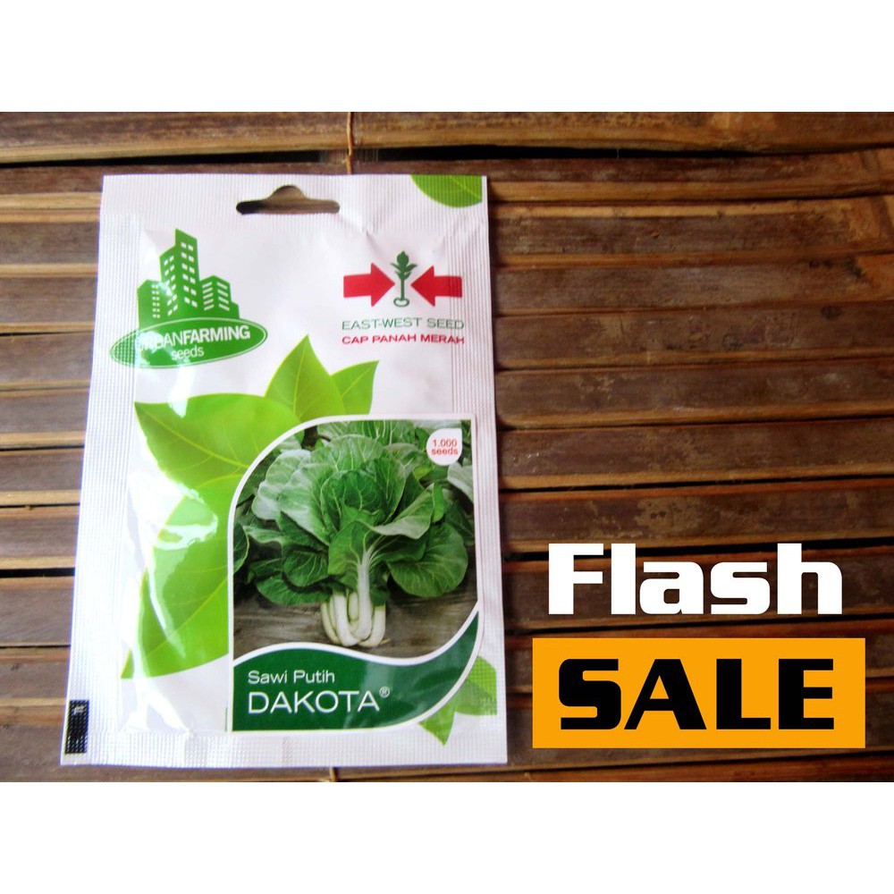 DISKON TERMURAH Benih Sawi Putih Dakota Panah Merah Limited