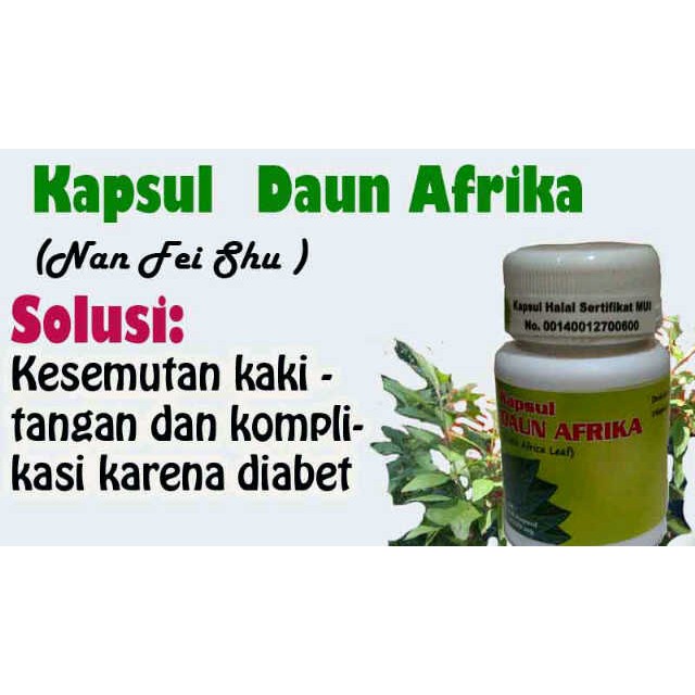 Kapsul Daun Afrika Atasi Kesemutan, Kolestrol dan Komplikasi Diabetes