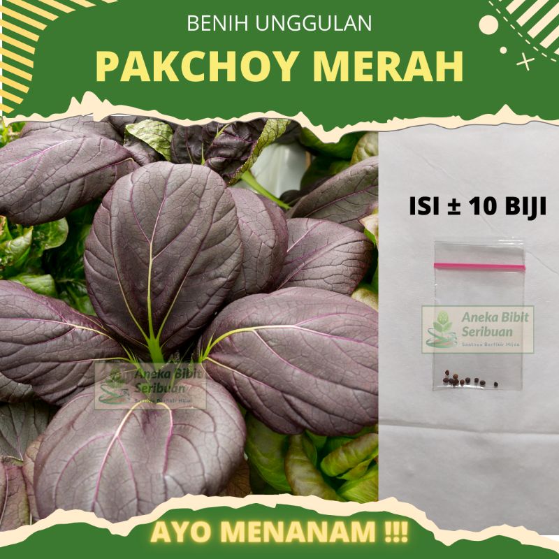 10 biji - benih pakchoy merah benih pakcoy ungu