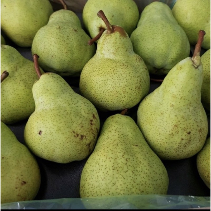 

Buah Pear packham / pir hijau fresh 1kg - Pasar Segar Depok