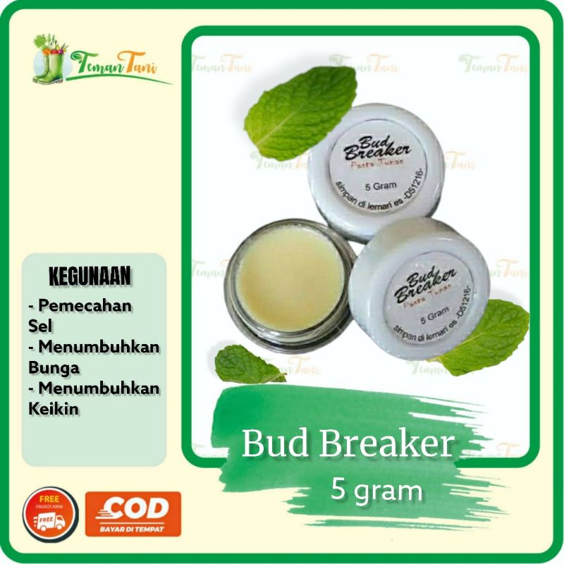 SALEP ANGGREK BUD BREAKER PENUMBUH BUNGA DAN KEIKI ANGGREK