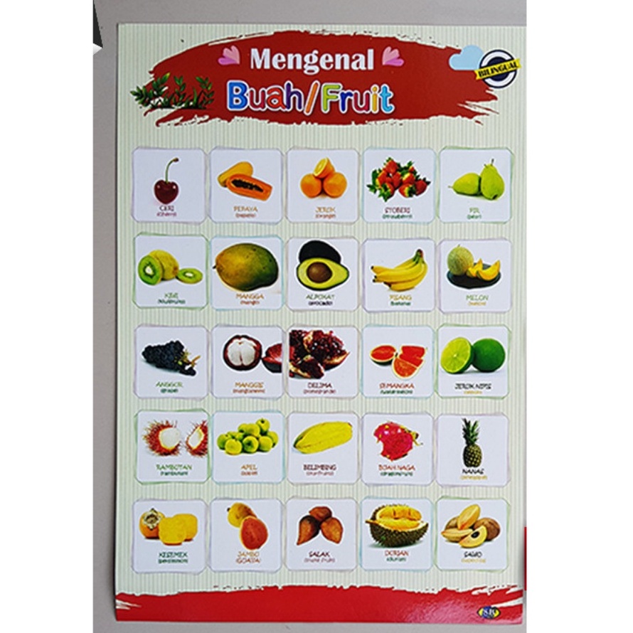 

Poster Edukasi Anak PAUD TK SD Mengenal Buah / Fruit