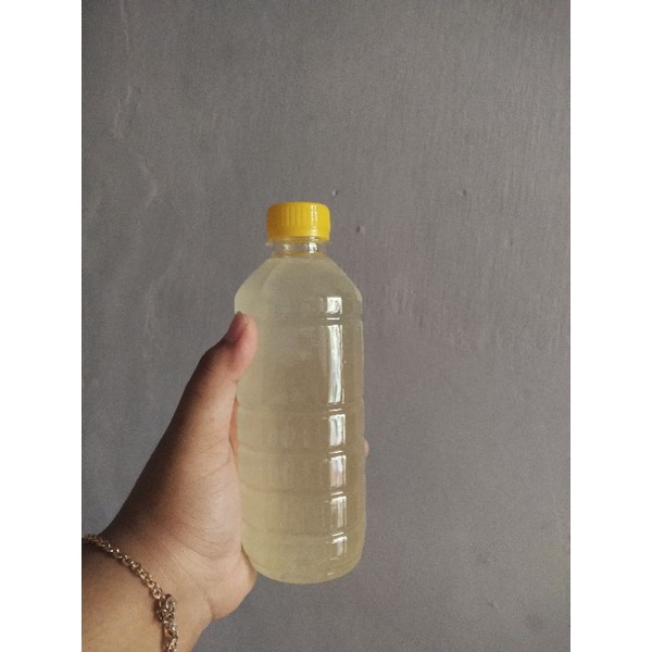 

[TERMURAH] PROBIOTIK G12 (500ML)