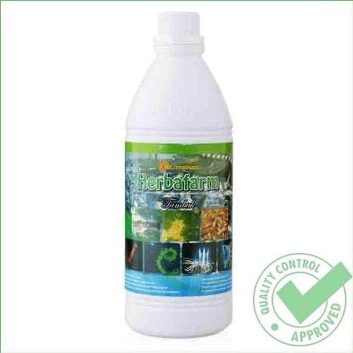 Herbafarm Tambak - Mempercepat Usia Panen