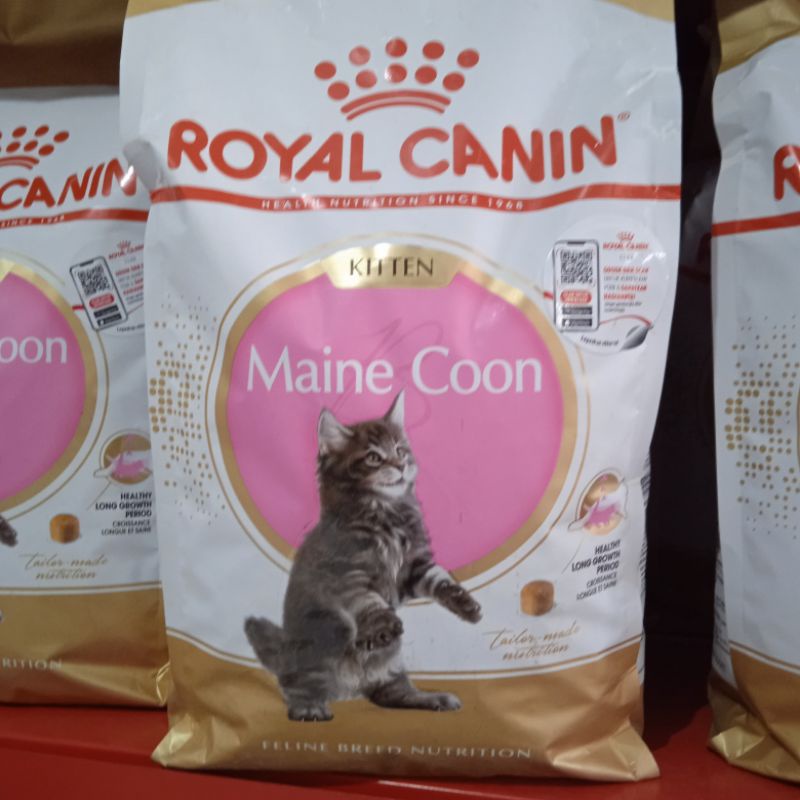 Royal Canin Maine Coon Kitten 2kg / Royal Canin Maincoon Kitten 2 kg