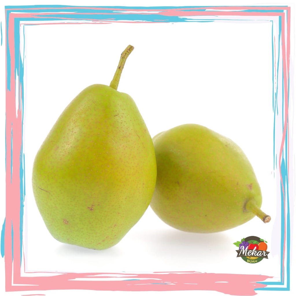 Pear Xiang Li /Buah Pear/Xiang Li size besar