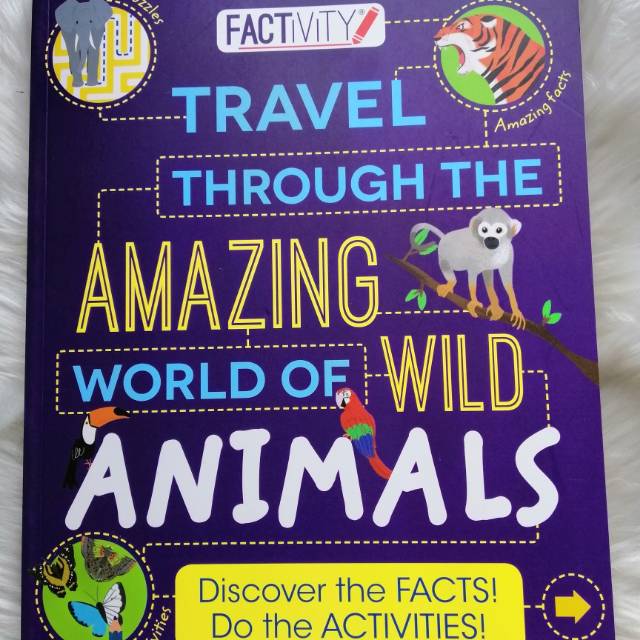 Factivity Travel through the Amazing World