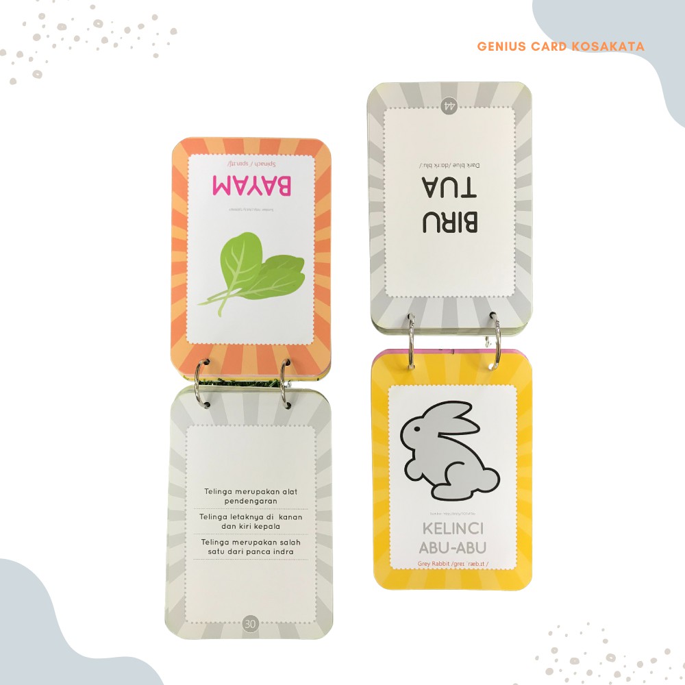 Charissa Publisher - Buku Anak Flash Card Bilingual ━ Genius Card Kosakata-3