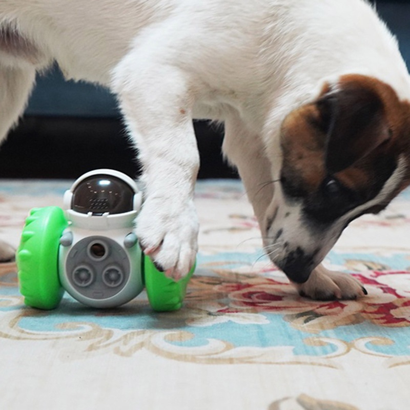 Kiss Dispenser Makanan Anjing Interaktif Bentuk Puzzle