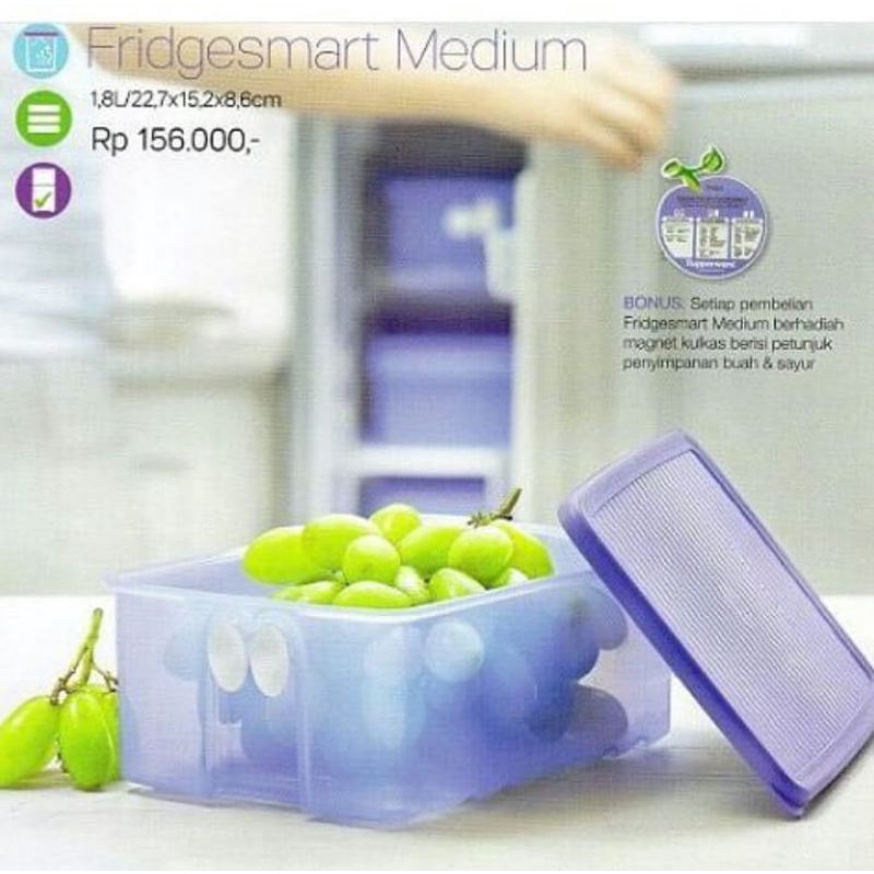 Fridgesmart medium tupperware