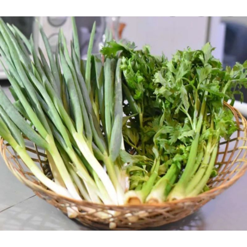

SELEDRI / DAUn seledri & daun KUCAI