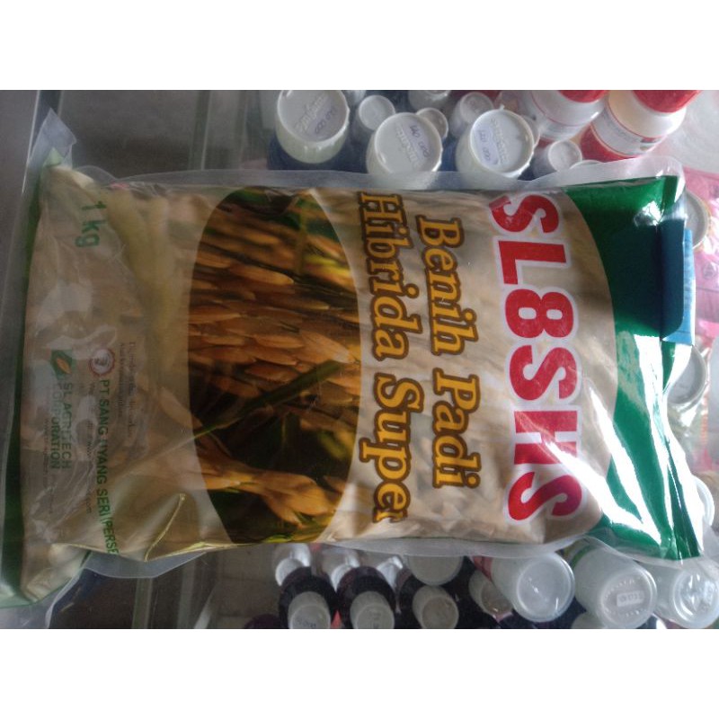 benih padi hibrida SL 8