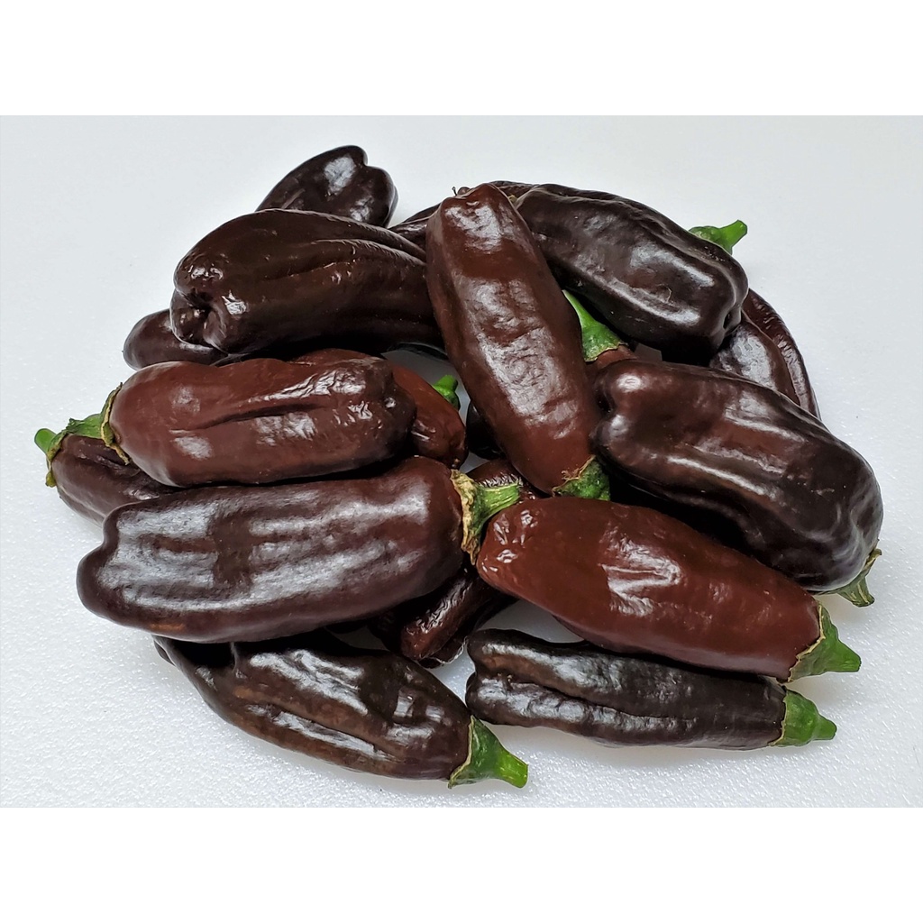 Benih Bibit Biji - Cabai Machu Picchu Tail Cabe Pepper Seeds