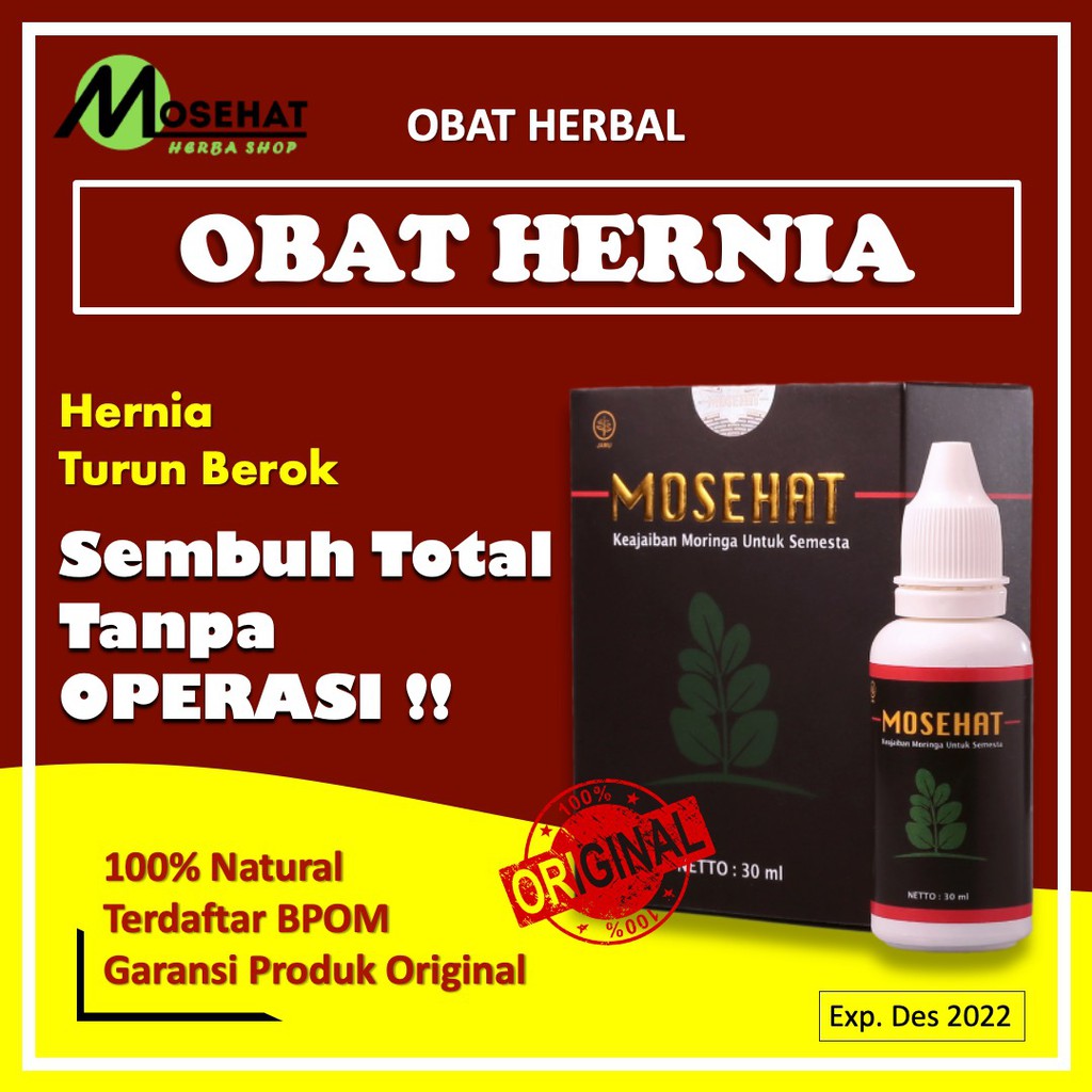Obat Hernia Turun Berok Herbal Paling Ampuh Untuk Dewasa dan Anak