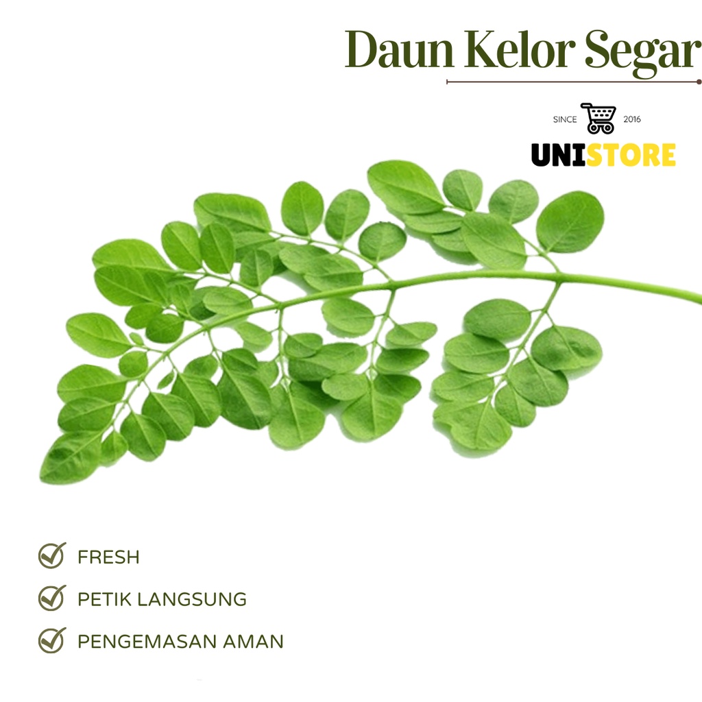 

Daun kelor segar 500 gram (obat herbal)