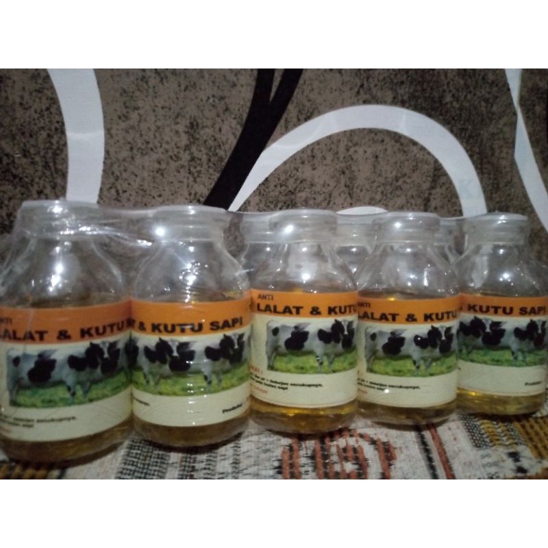 obat lalat dan kutu untuk sapi kerbau dan kambing